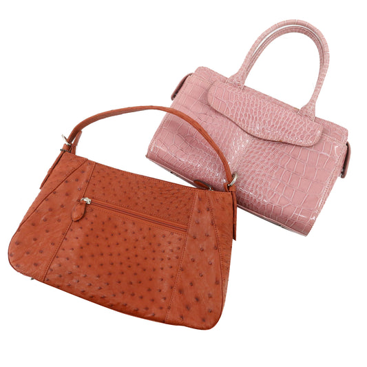 Set of 2 Handbag