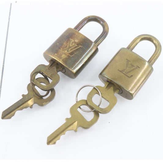 Set of 2 Lock and Keys